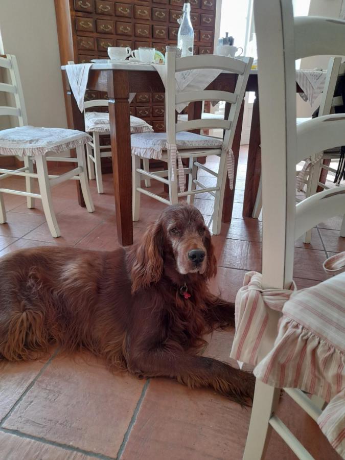 Tenuta Degli Angeli Rossi Asti Zewnętrze zdjęcie