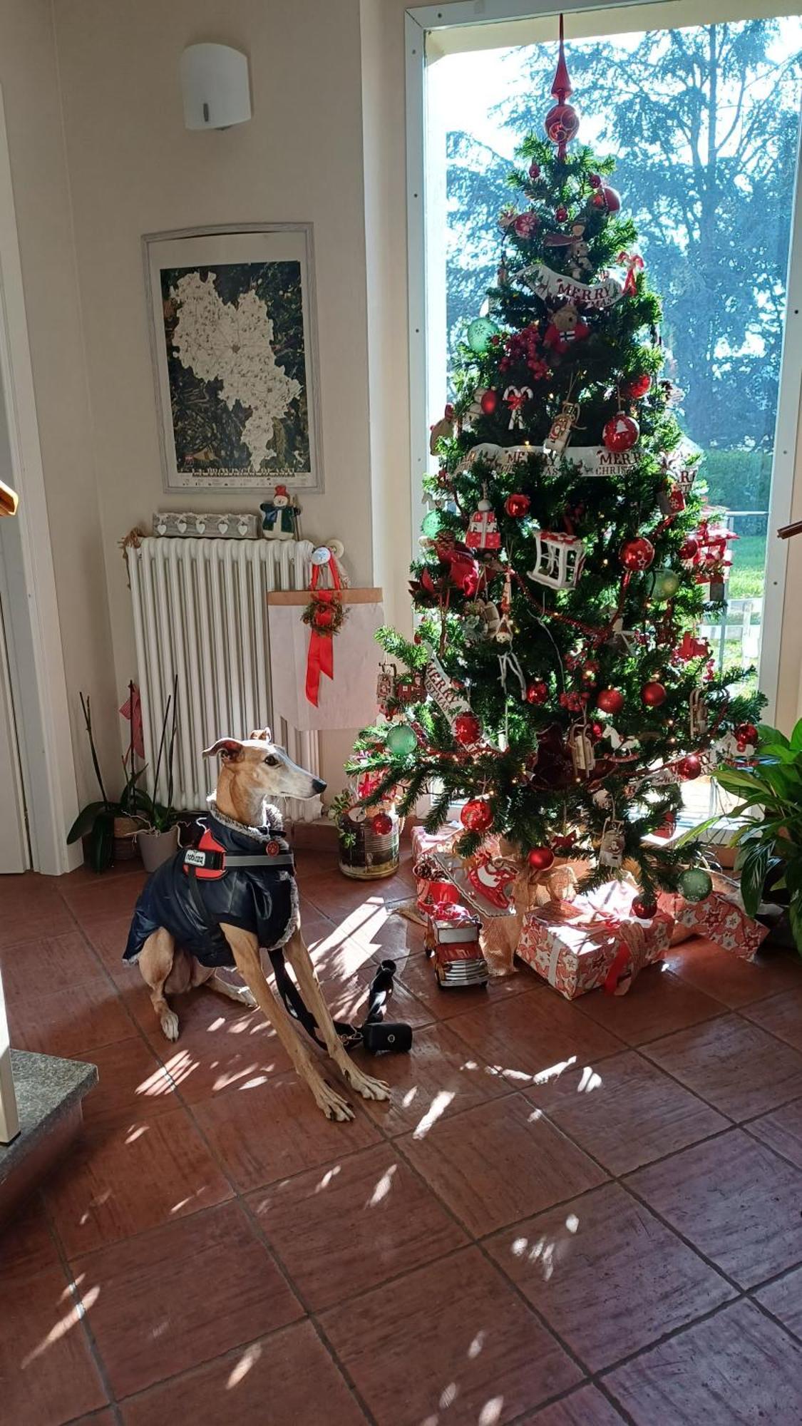 Tenuta Degli Angeli Rossi Asti Zewnętrze zdjęcie