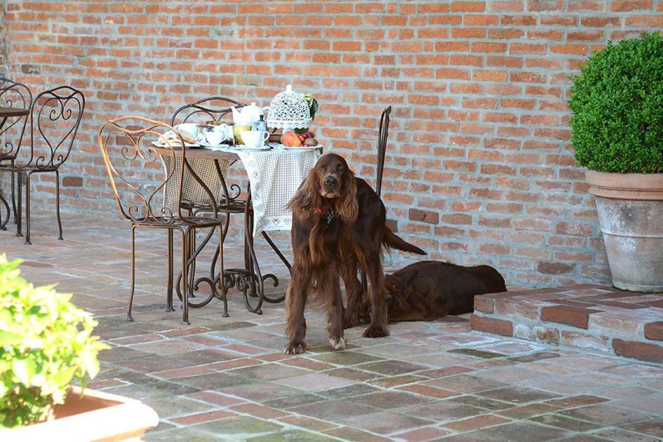 Tenuta Degli Angeli Rossi Asti Zewnętrze zdjęcie